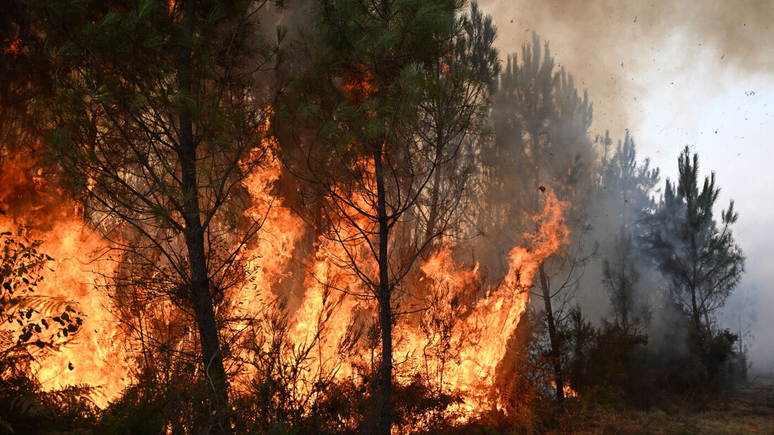Flammen lodern zwischen den Bäumen während eines Waldbrandes im Südwesten Frankreichs. Foto: Emma Da Silva/AP/dpa 20260730032226681.jpg