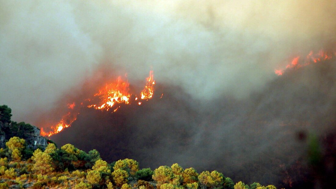 Waldbrand in Spanien (Guadalajara) zerstört rund 32.000 Hektar Land (Archivbild). 20260723011354242.jpg