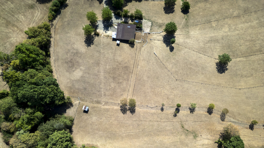 Die anhaltende Trockenheit setzt Landwirtschaftsbetrieben zu, so wie hier in Wittinsburg BL. 20260807134622726.jpg