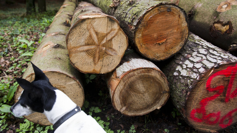 KEYSTONE/SIGI TISCHLER 20250716093725480.jpg