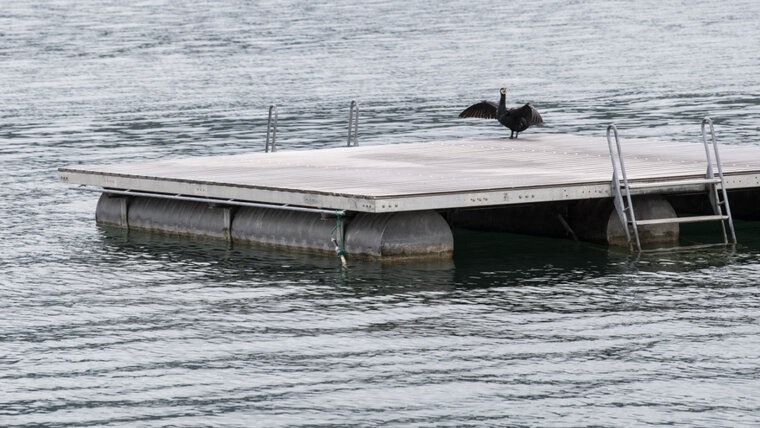 KEYSTONE/ENNIO LEANZA 20250716145319234.jpg