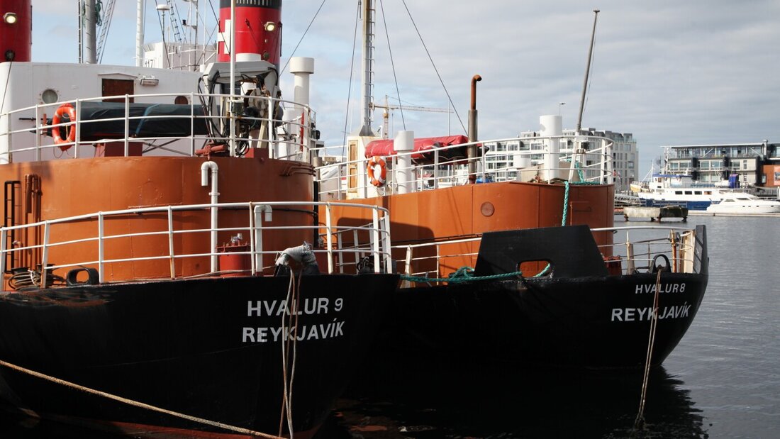 ARCHIV - Die Walfangschiffe Hvalur 9 (l) und Hvalur 8 liegen im Hafen. Foto: Steffen Trumpf/dpa 20260823054320048.jpg