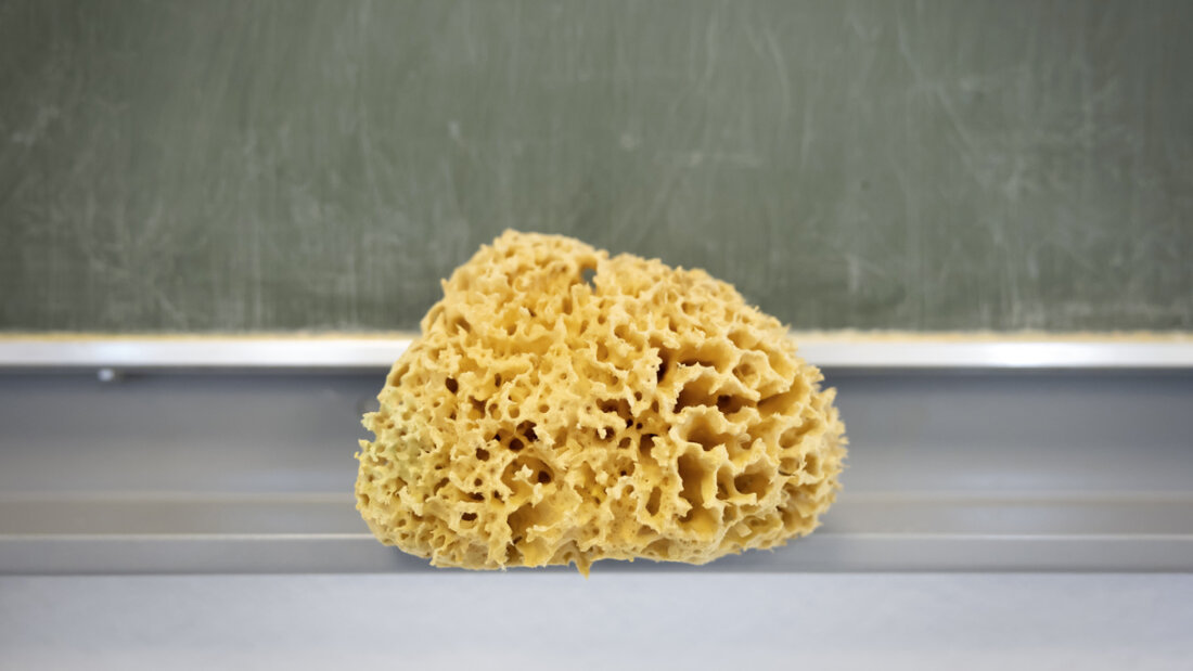 Die Schülerzahlen steigen an den Thurgauer Volksschulen weiter an. (Symbolbild) 20250808115926366.jpg