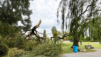 Stadt Romanshorn 20260715185323265.jpg