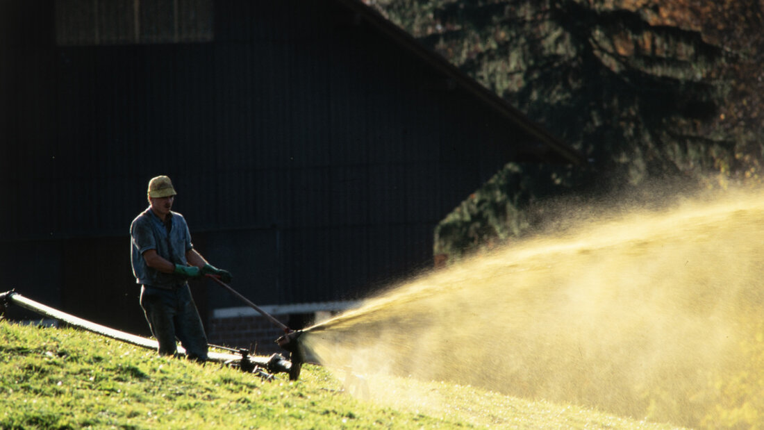 In Dietschwil im Kanton St. Gallen sind 100 Liter Gülle in einen Bach gelangt. (Symbolbild) 20251109124234284.jpg