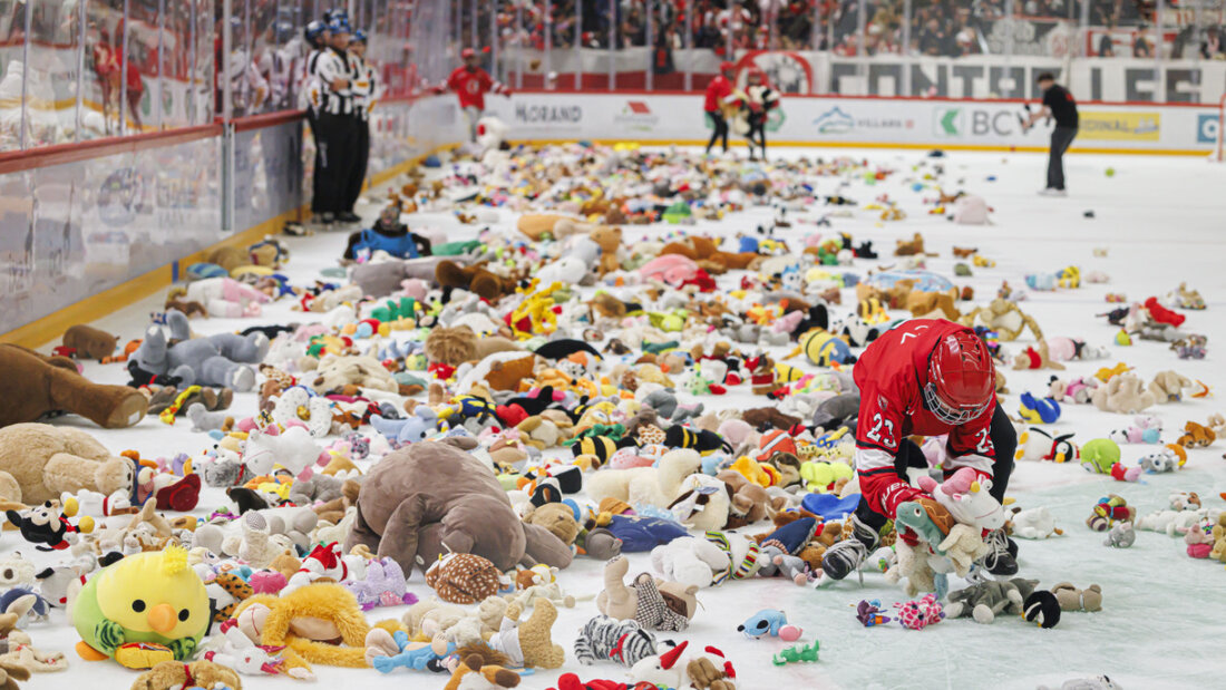 Ein Meer aus Plüschtieren - die Pause, bis alle Teddys eingesammelt waren, warf den SCB in Lausanne aus der Bahn 20250928164133582.jpg