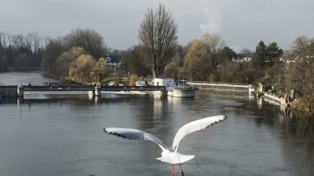 Ein 65-Jähriger ertrank am Montag bei einem Badeunfall in der Limmat. Er ging bei der Werdinsel in Zürich unter. (Archivbild) 20250805111254356.jpg