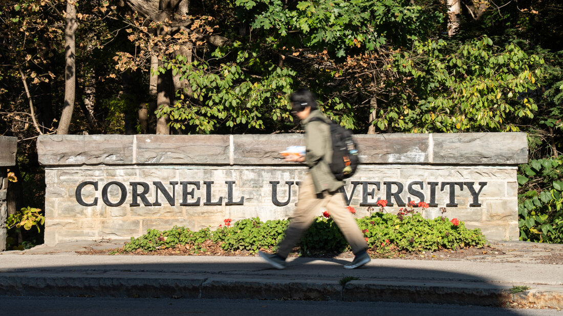 ARCHIV - Eine Person über den Campus der Cornell University. Foto: Matt Burkhartt/AP/dpa 20261013205511607.jpg