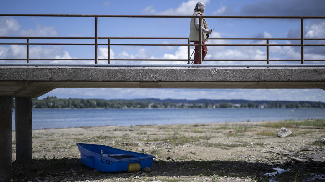 Die Pegelstände in vielen Ostschweizer Gewässern sind sehr tief, so auch am Bodensee bei Mannenbach-Salenstein TG. Die Fische leiden darunter. (Archivbild) 20260718100044101.jpg
