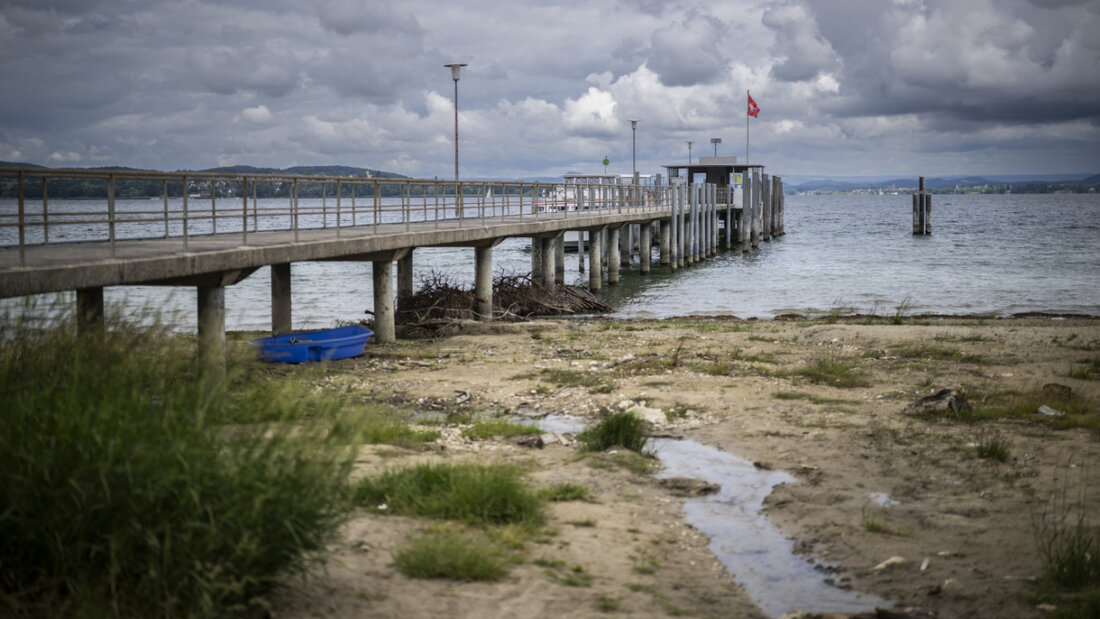 Die aktuelle Trockenheit ist am Bodensee besonders sichtbar. Das Bild zeigt die Situation am Untersee, in Mannenbach-Salenstein. (Archivbild) 20260623164133577.jpg