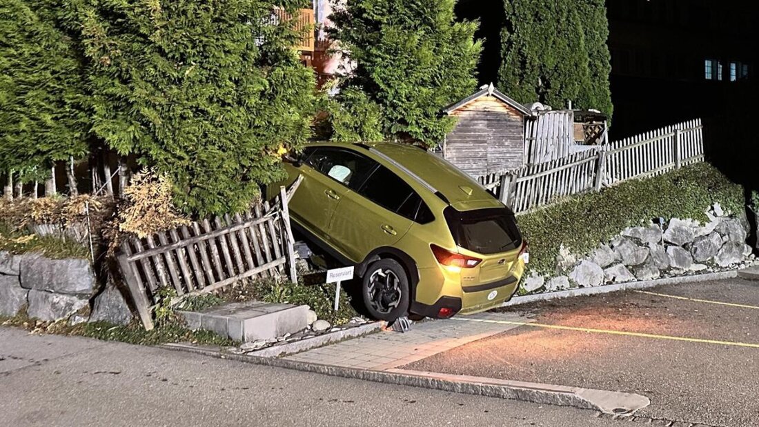 Kurz eingenickt: Der Wagen eines 20-jährigen Lenkers blieb zwischen zwei Thujenbäumen stecken. 20251102112832370.jpg