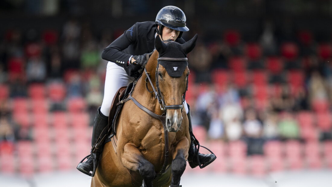 Sehr schnell, aber mit einem Abwurf: Martin Fuchs belegt auf Love de Vie im Jagdspringen in St. Gallen den 7. Platz 20260606190418966.jpg