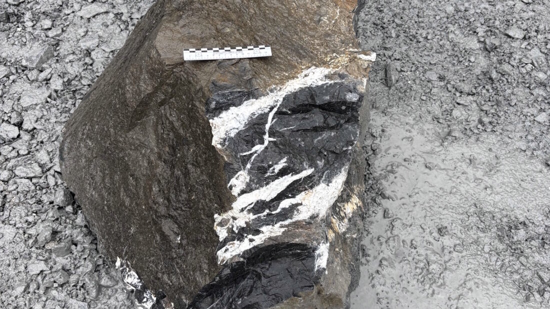 Ein Stein hatte sich aus der Felswand gelöst. Fragmente verletzten den 59-jährigen Arbeiter schwer. (Archivbild) 20260611104605102.jpg
