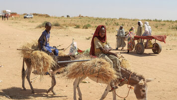 Keystone/AP/Muhnnad Adam 20251215150204815.jpg