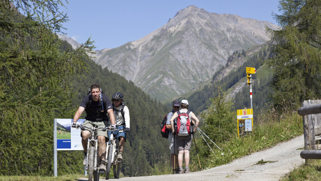 Kommen im Grossen und Ganzen gut aneinander vorbei: Biker und Wanderer unterwegs im Val Sinestra oberhalb Sent im Unterengadin. (Archivbild) 20260226115836604.jpg