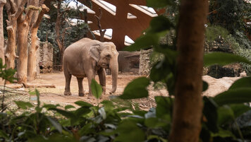 Zoo Zürich 20260225085354704.jpg