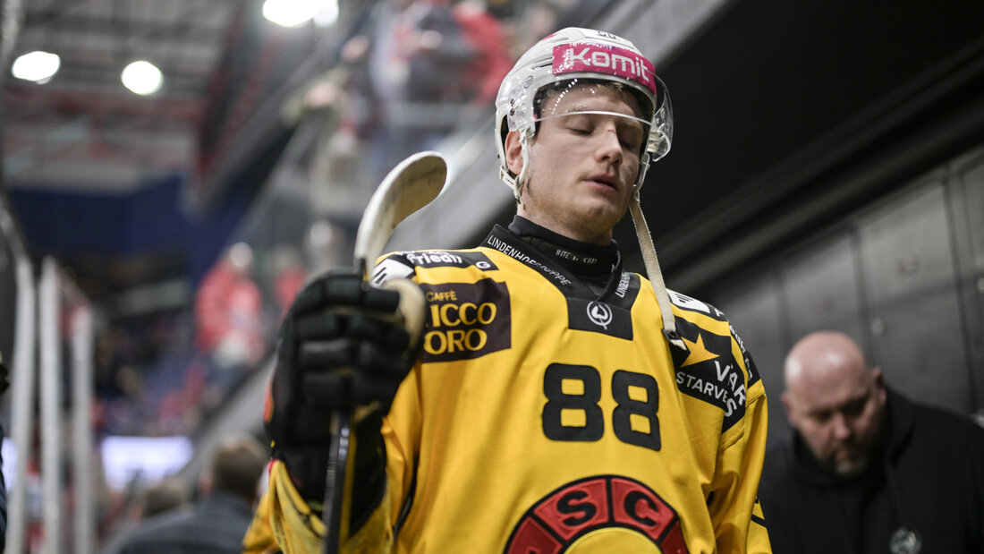 Thierry Schild wechselt leihweise von Bern zu Fribourg-Gottéron 20261012121649196.jpg