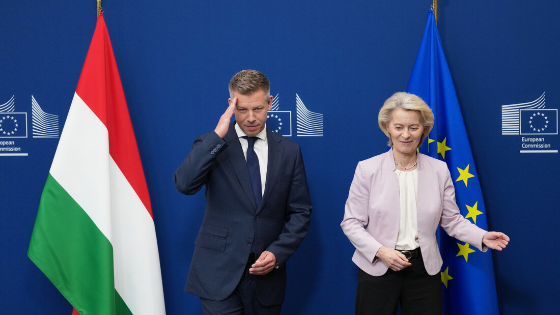 ARCHIV - Die Präsidentin der Europäischen Kommission, Ursula von der Leyen, begrüßt den ungarischen Ministerpräsidenten Peter Magyar vor einem Treffen am EU-Hauptsitz. Foto: Virginia Mayo/AP/dpa 20260710160004033.jpg