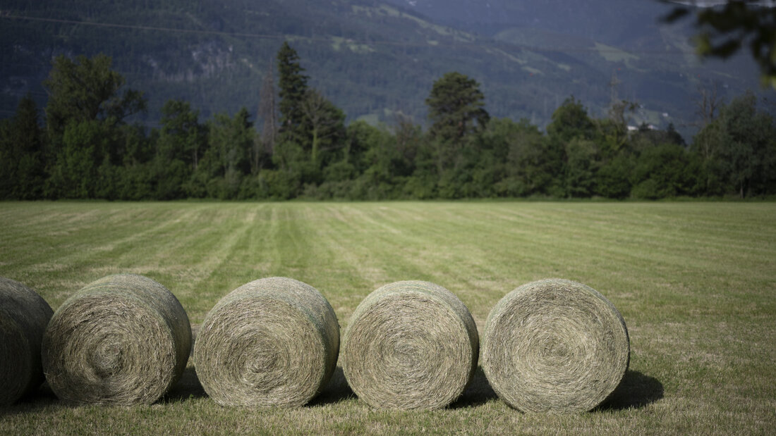 In Nesslau im Kanton St. Gallen ist ein Landwirt von einem Heuballen eingeklemmt und dabei schwer verletzt worden. (Symbolbild) 20260704115800292.jpg
