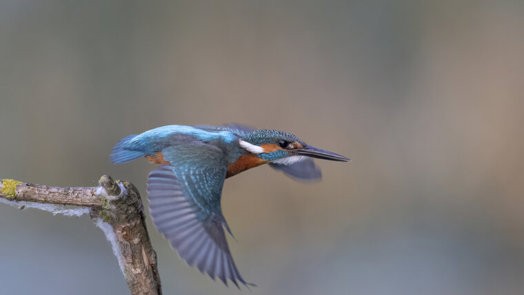 Beat Rüegger 20251125070600476.jpg