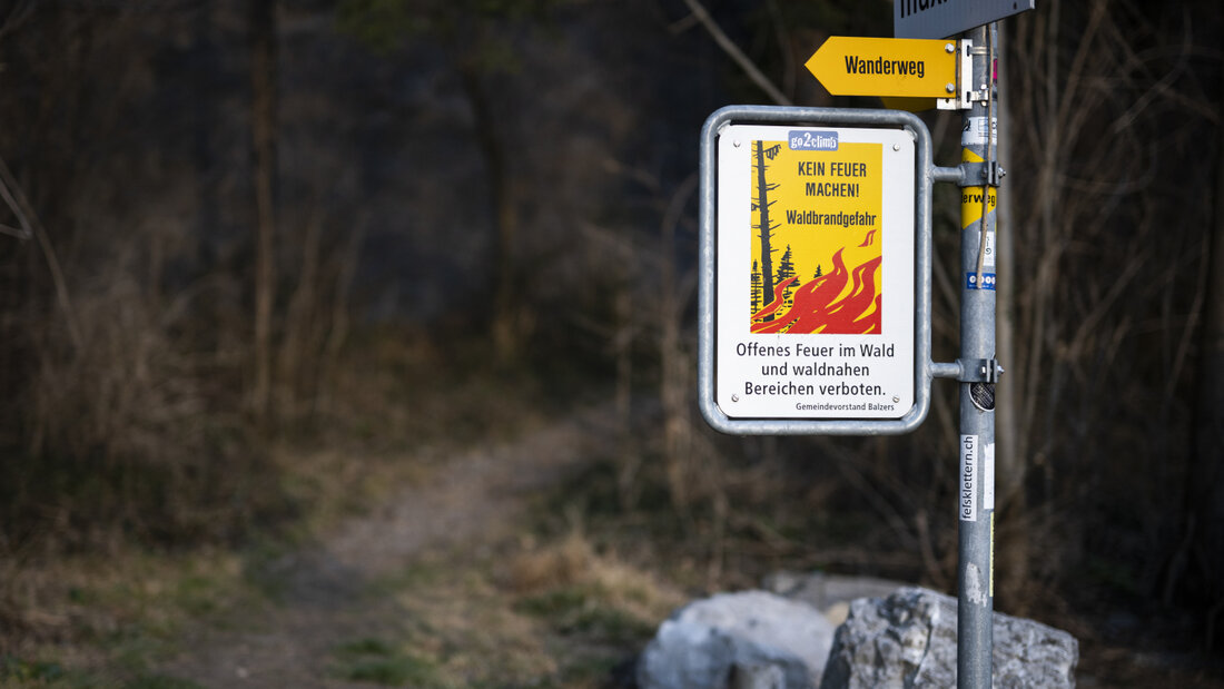Der Kanton Thurgau verbietet das Entfachen von Feuer im Wald oder in der Nähe von Wäldern. (Archivbild) 20260708093500746.jpg