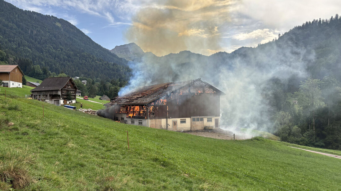 Ein Blitzeinschlag setzte die Scheune in Brand. 20260804204251499.jpg