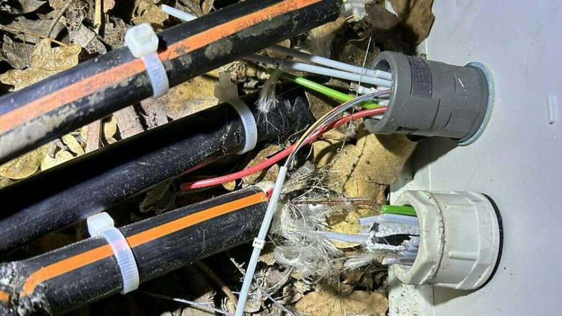 In Rheinfelden AG waren Ende 2023 mehrmals die Glasfaserleitungen durchschnitten worden. Fünf mutmassliche Täter im Alter von 19 und 20 Jahren sind angeklagt worden. Ihnen drohen teilweise lange Freiheitsstrafen (Archivbild) 20250717094100678.jpg