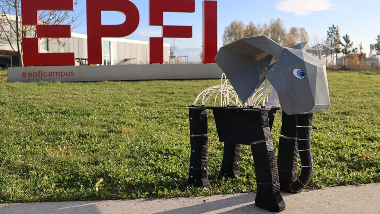 EPFL 20250717115110794.jpg