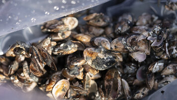 20260922102510021.jpg